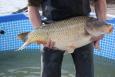 IMG 9889