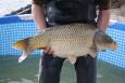 IMG 9891