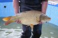IMG 9920