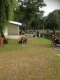 IMG-20150719-WA0001