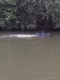 IMG-20151013-WA0001