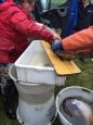 IMG-20160324-WA0011