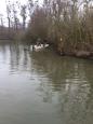 IMG-20160324-WA0024
