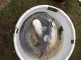 IMG-20160324-WA0032