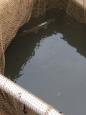 IMG-20160324-WA0031