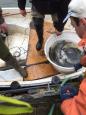 IMG-20160324-WA0033