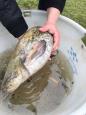 IMG-20160324-WA0039