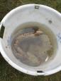 IMG-20160324-WA0038