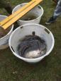 IMG-20160324-WA0043