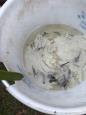 IMG-20160324-WA0046