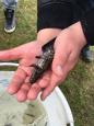 IMG-20160324-WA0048