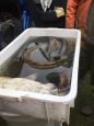 IMG-20160324-WA0049