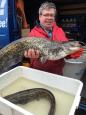IMG-20160324-WA0061
