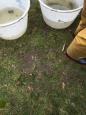 IMG-20160324-WA0062