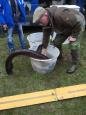 IMG-20160324-WA0073