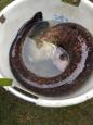 IMG-20160324-WA0075