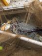 IMG-20160324-WA0077