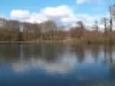 DSCF0181