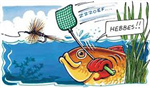 Zomeravond Competitie Start Woensdag 27-06-2018